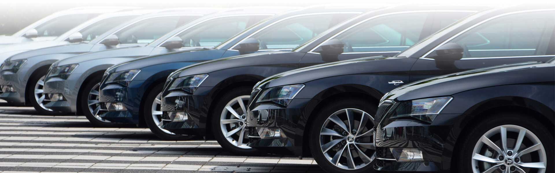 fleet of a businesses parked cars