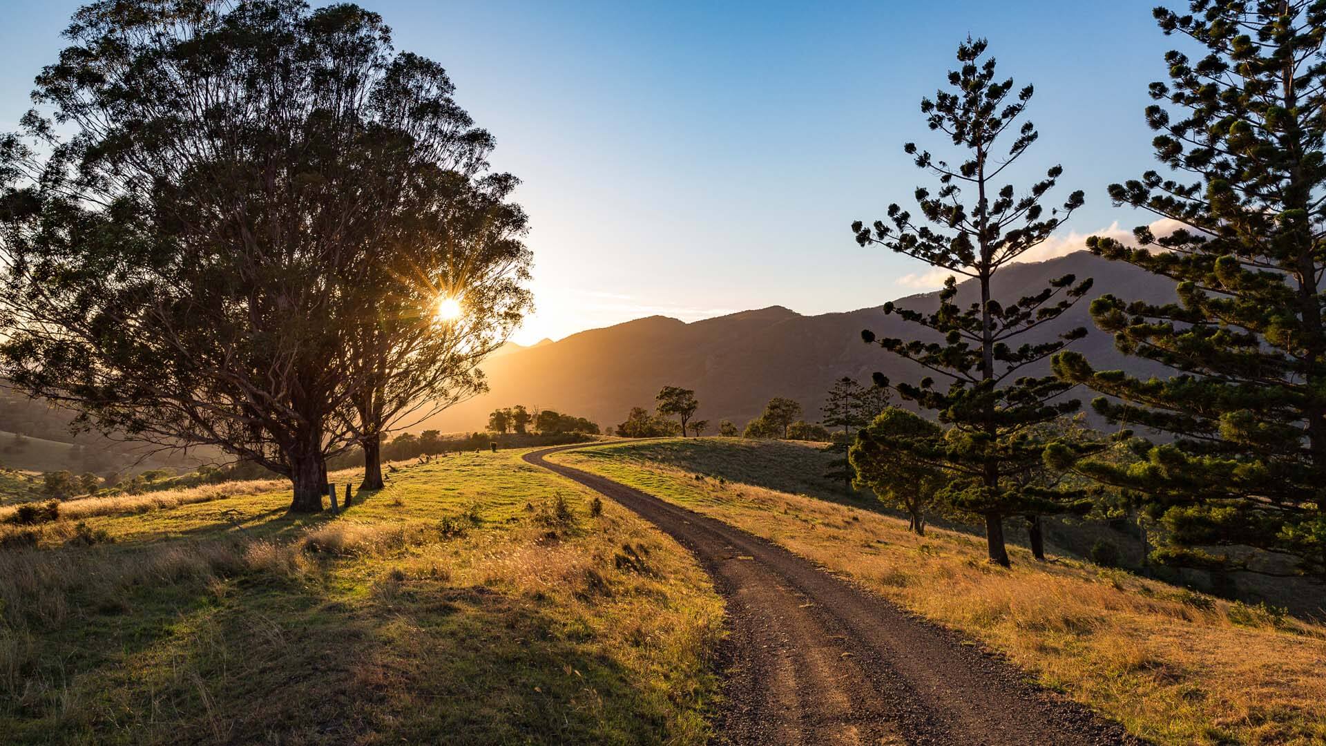 road in Australian backyard scenario with sunset 