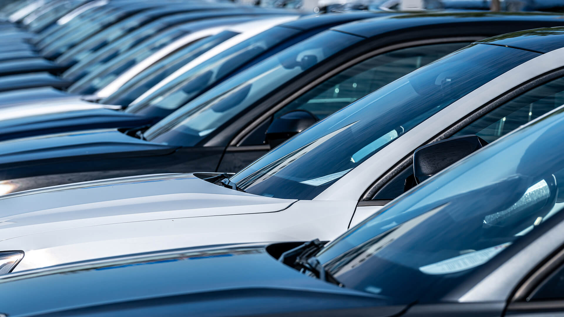 V Facts September Fleetcare